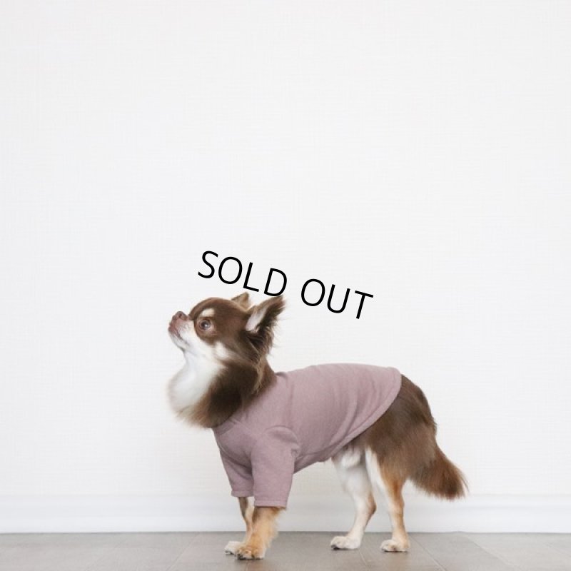 画像6: くすみカラーのカットソー（くすみローズ） (6)