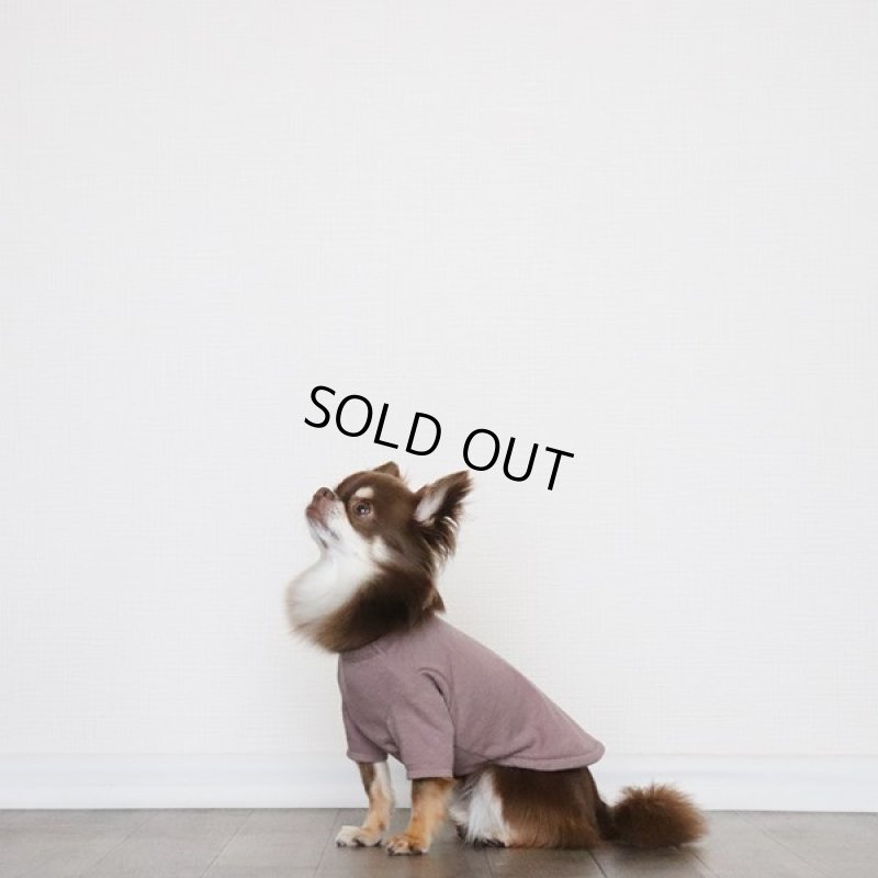 画像5: くすみカラーのカットソー（くすみローズ） (5)