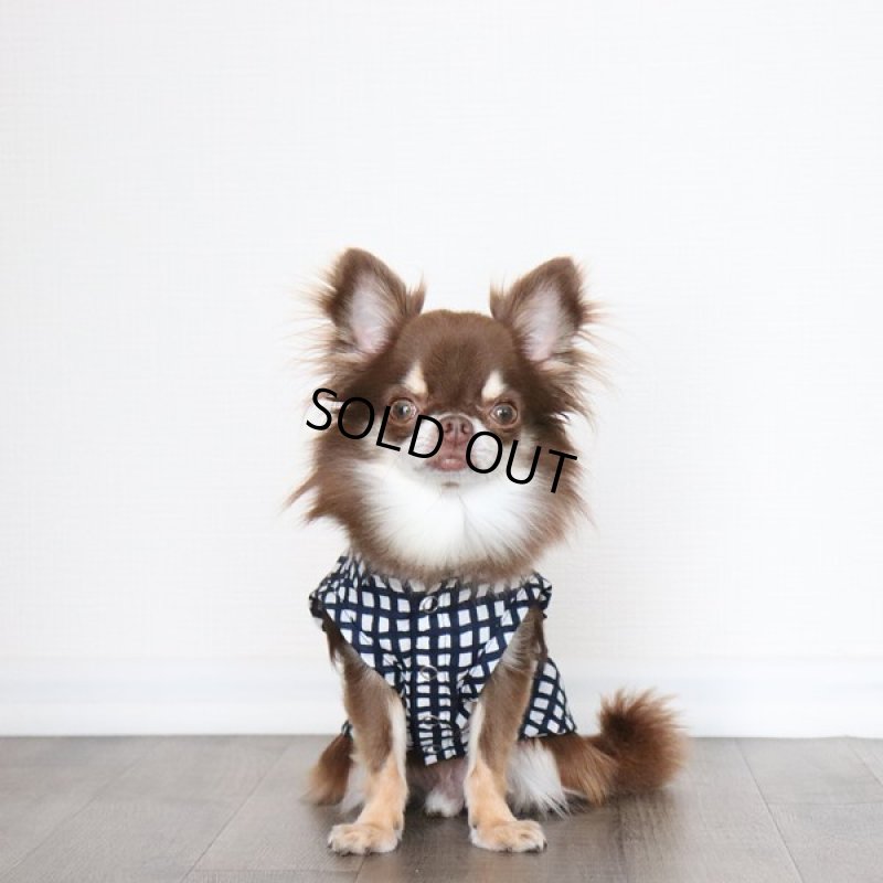 画像3: フリーギンガムのノースリーブシャツ（ネイビー） (3)