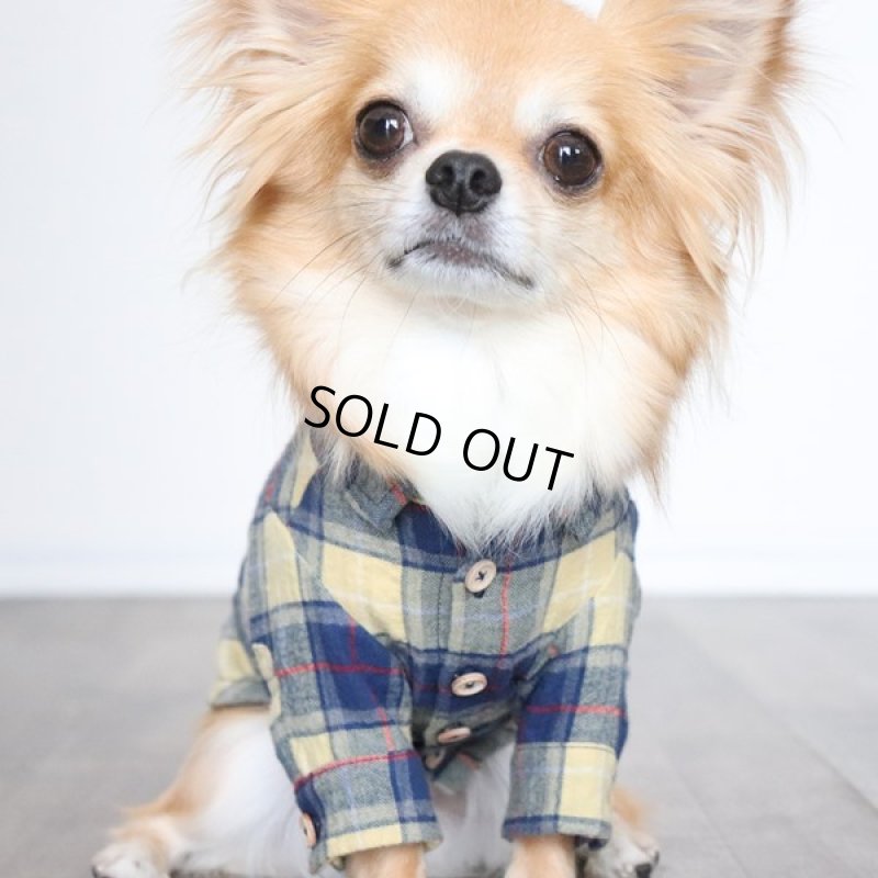 画像11: フランネルシャツ（イエロー） (11)