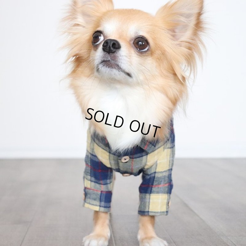 画像10: フランネルシャツ（イエロー） (10)