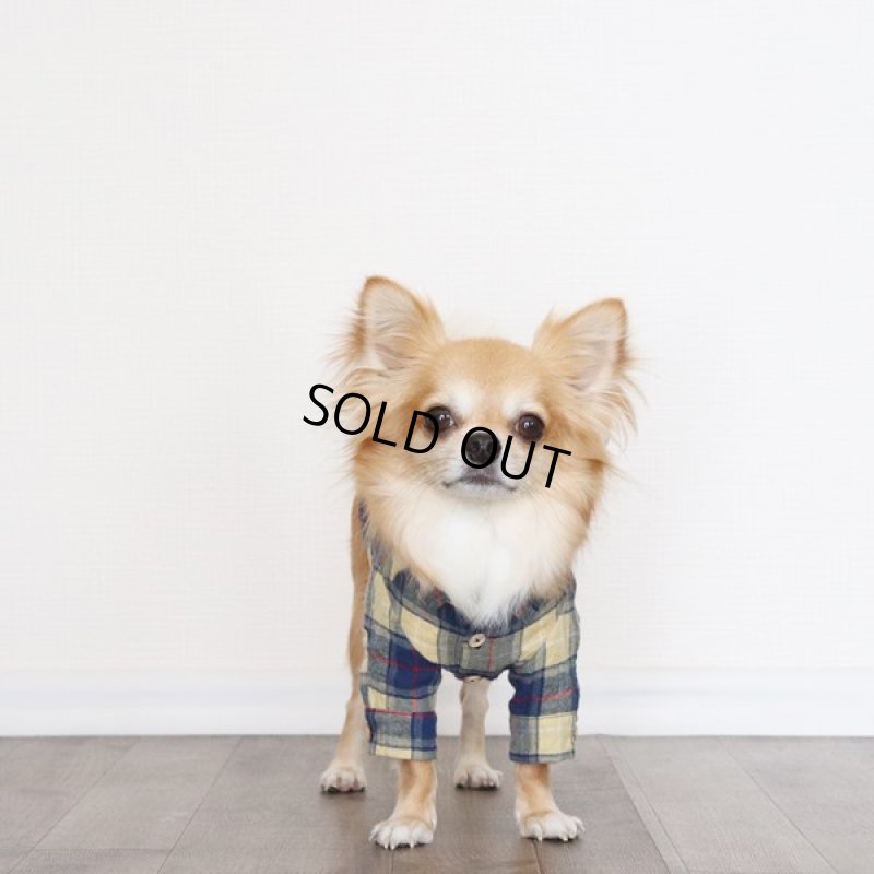 画像2: フランネルシャツ（イエロー） (2)