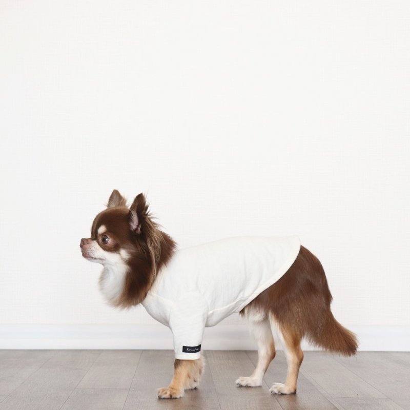 画像7: ヴィレッジニットポケットつきカットソー（生成り×ネイビー） (7)