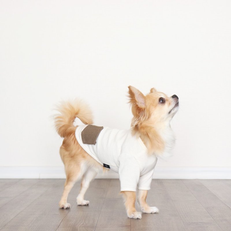 画像3: ヴィレッジニットポケットつきカットソー（生成り×カーキ） (3)