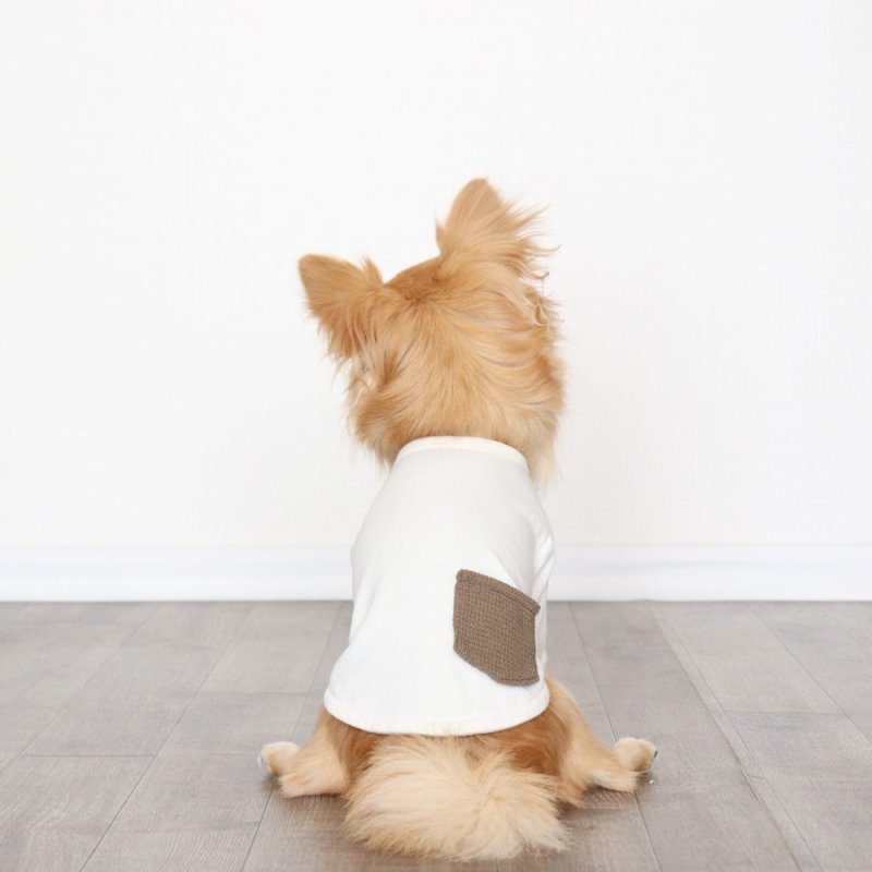 画像2: ヴィレッジニットポケットつきカットソー（生成り×カーキ） (2)