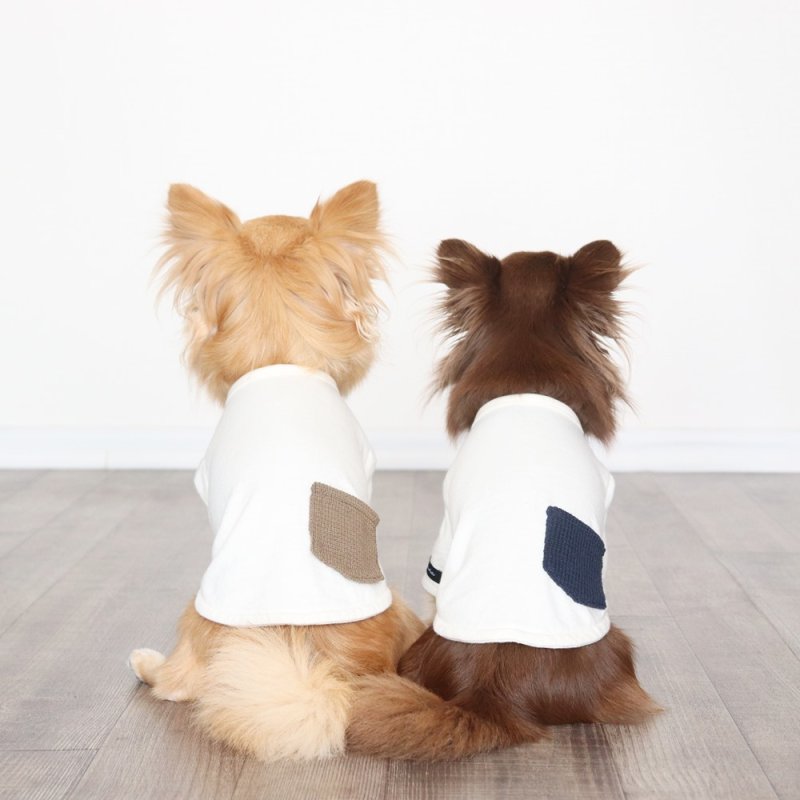 画像9: ヴィレッジニットポケットつきカットソー（生成り×カーキ） (9)