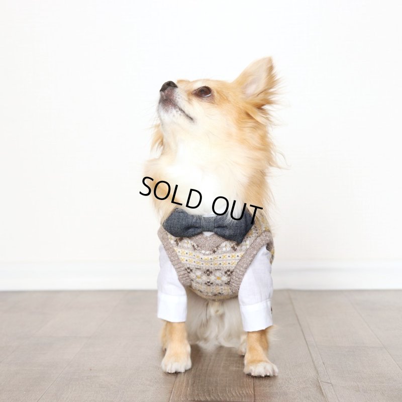 画像16: Vネックニットベスト（ブラウンマスタード） (16)