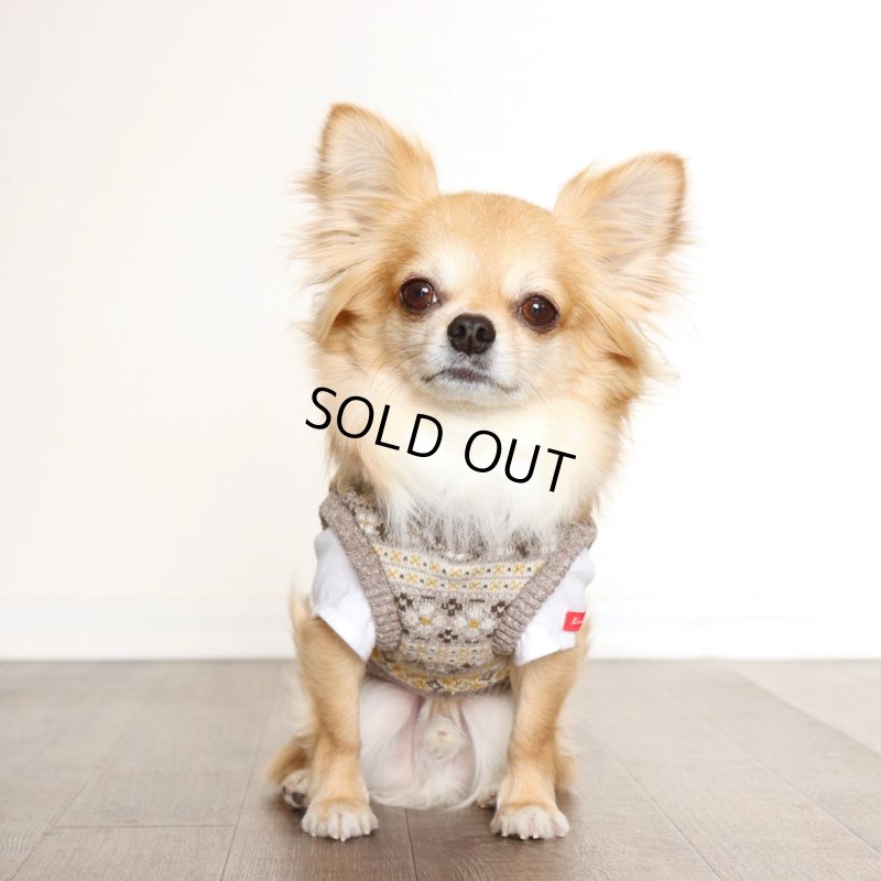 画像7: Vネックニットベスト（ブラウンマスタード） (7)