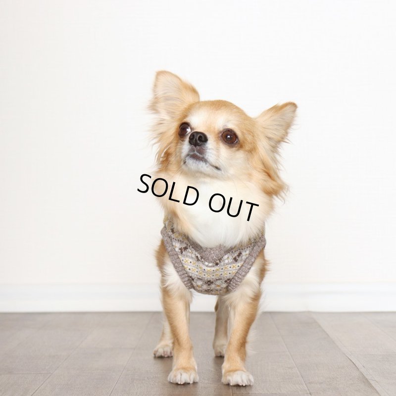 画像4: Vネックニットベスト（ブラウンマスタード） (4)