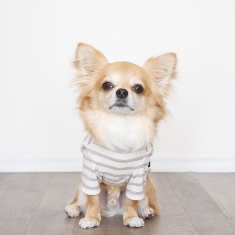 画像3: [完成品] スモーキーボーダーカットソー（セピア） (3)