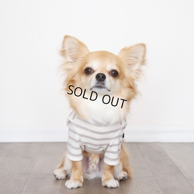 画像2: スモーキーボーダーカットソー（セピア） (2)