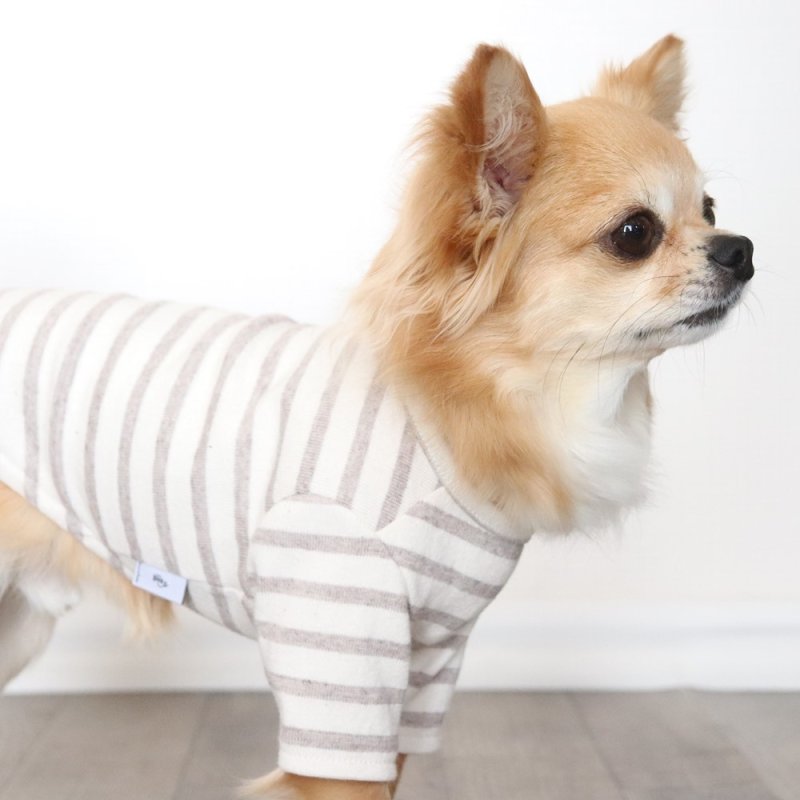 画像12: [完成品] スモーキーボーダーカットソー（セピア） (12)