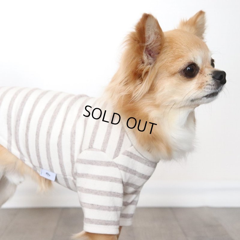 画像11: スモーキーボーダーカットソー（セピア） (11)