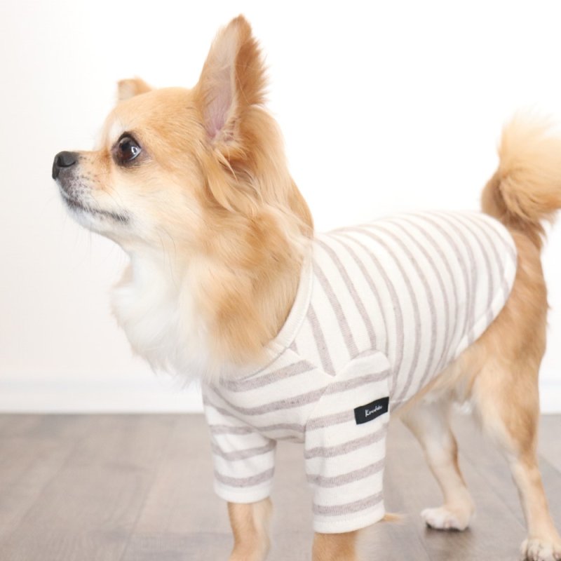 画像10: [完成品] スモーキーボーダーカットソー（セピア） (10)