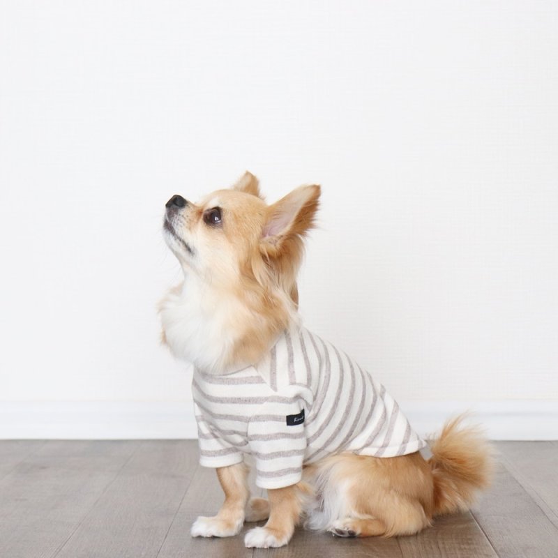 画像5: [完成品] スモーキーボーダーカットソー（セピア） (5)