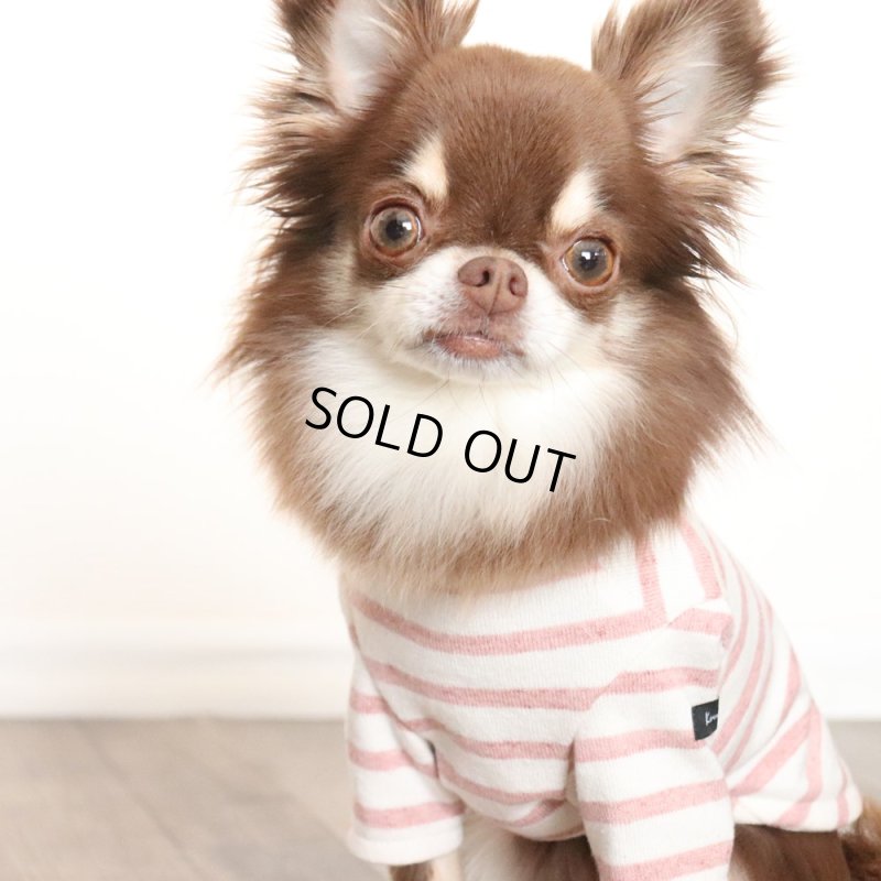 画像9: スモーキーボーダーカットソー（アプリコット） (9)