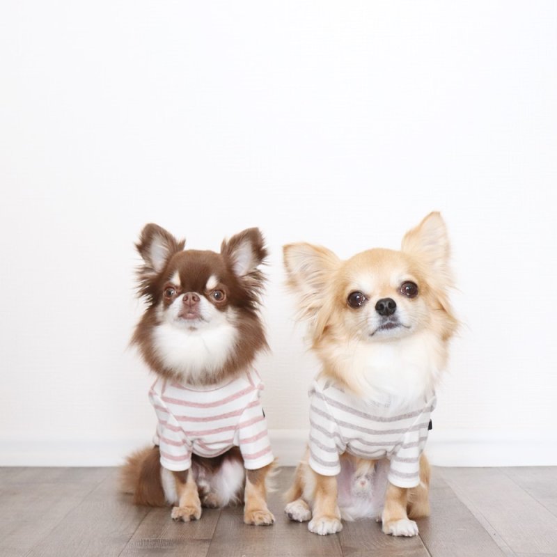 画像13: [完成品] スモーキーボーダーカットソー（セピア） (13)