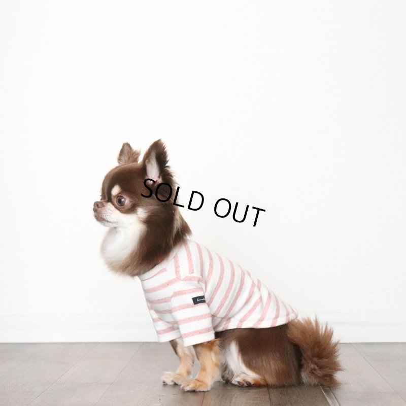 画像4: スモーキーボーダーカットソー（アプリコット） (4)