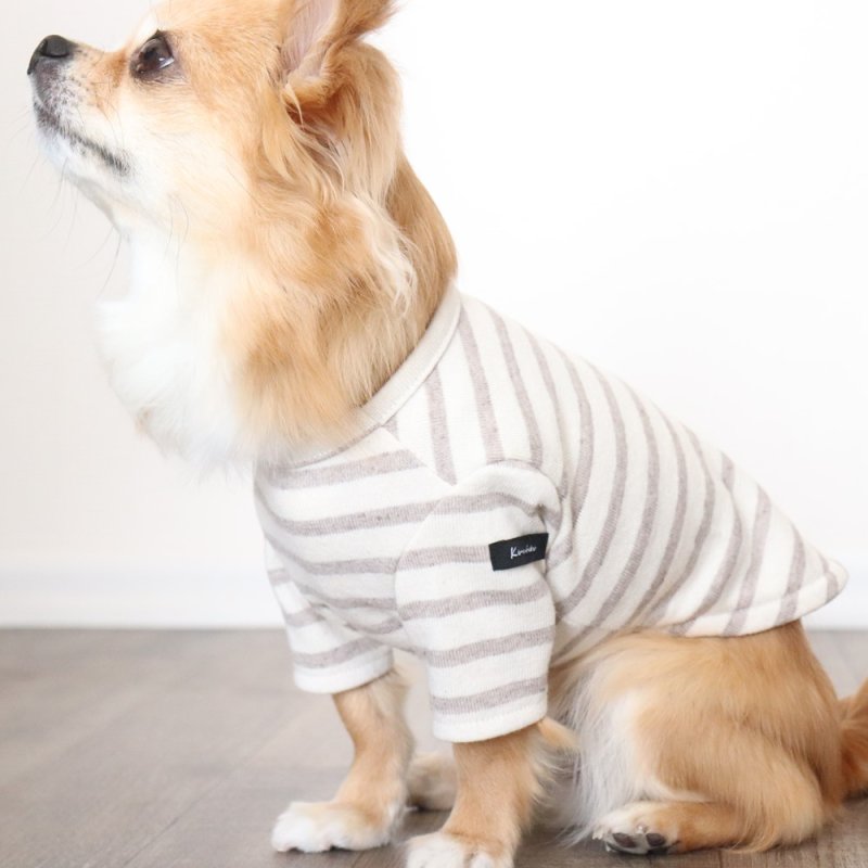 画像11: [完成品] スモーキーボーダーカットソー（セピア） (11)