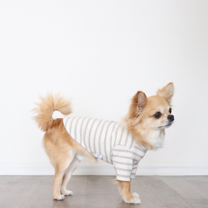 画像8: [完成品] スモーキーボーダーカットソー（セピア） (8)