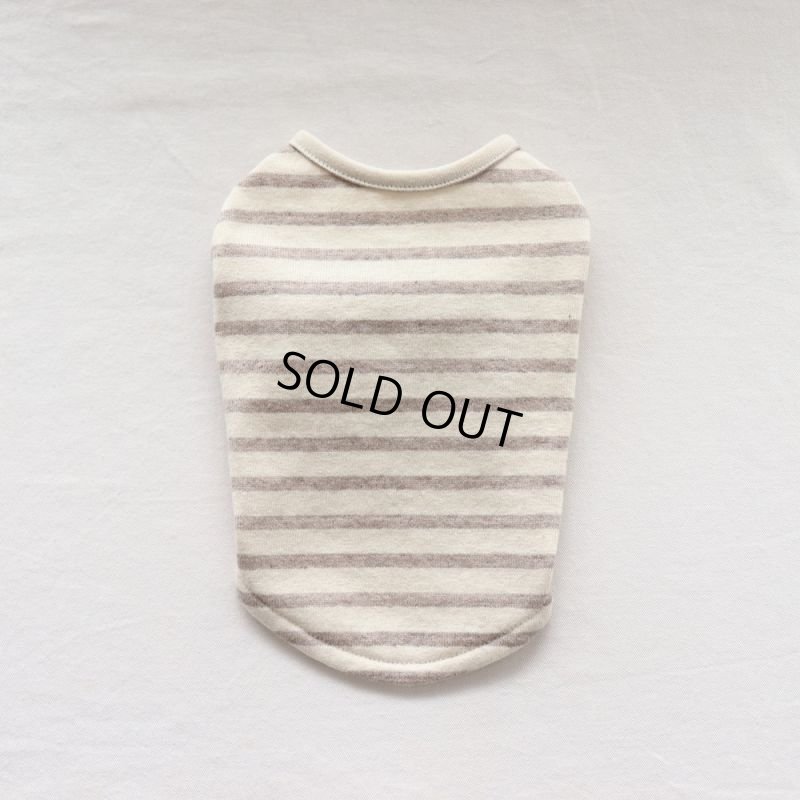 画像15: スモーキーボーダーカットソー（セピア） (15)