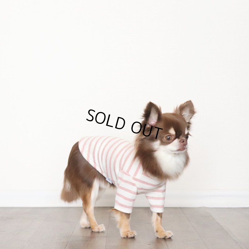 画像7: スモーキーボーダーカットソー（アプリコット） (7)