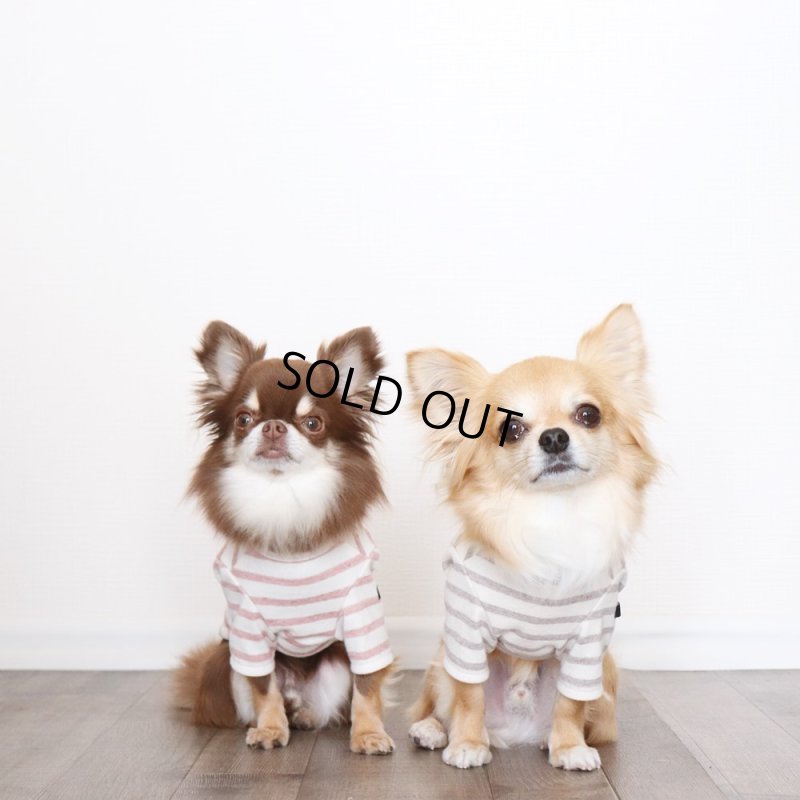 画像11: スモーキーボーダーカットソー（アプリコット） (11)