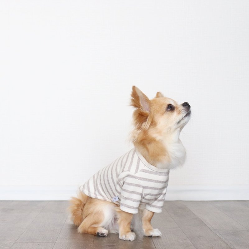 画像9: [完成品] スモーキーボーダーカットソー（セピア） (9)