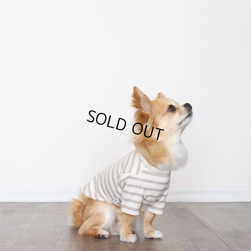 画像8: スモーキーボーダーカットソー（セピア） (8)