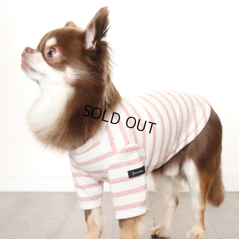 画像10: スモーキーボーダーカットソー（アプリコット） (10)