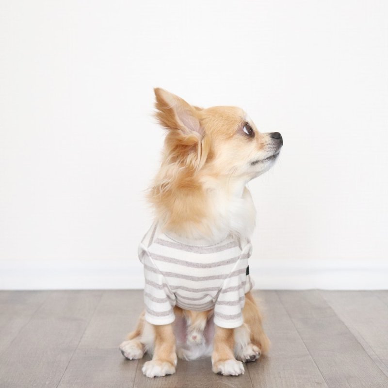 画像7: [完成品] スモーキーボーダーカットソー（セピア） (7)