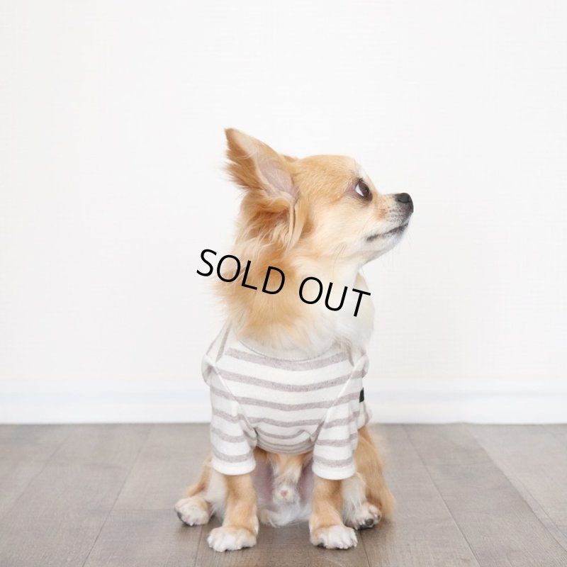 画像6: スモーキーボーダーカットソー（セピア） (6)