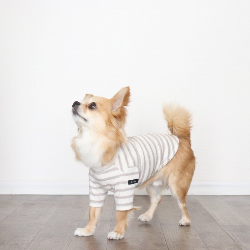 画像6: [完成品] スモーキーボーダーカットソー（セピア） (6)