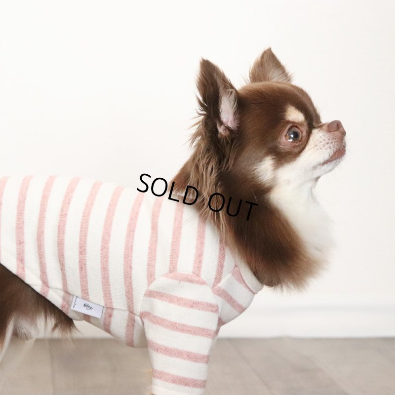 画像8: スモーキーボーダーカットソー（アプリコット） (8)