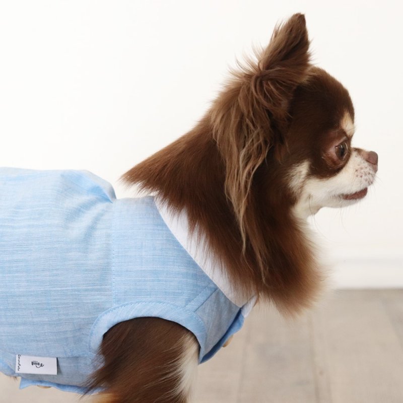 画像20: 自分好みに選べる綿麻ノースリーブシャツ（スカイブルー×ホワイト） (20)