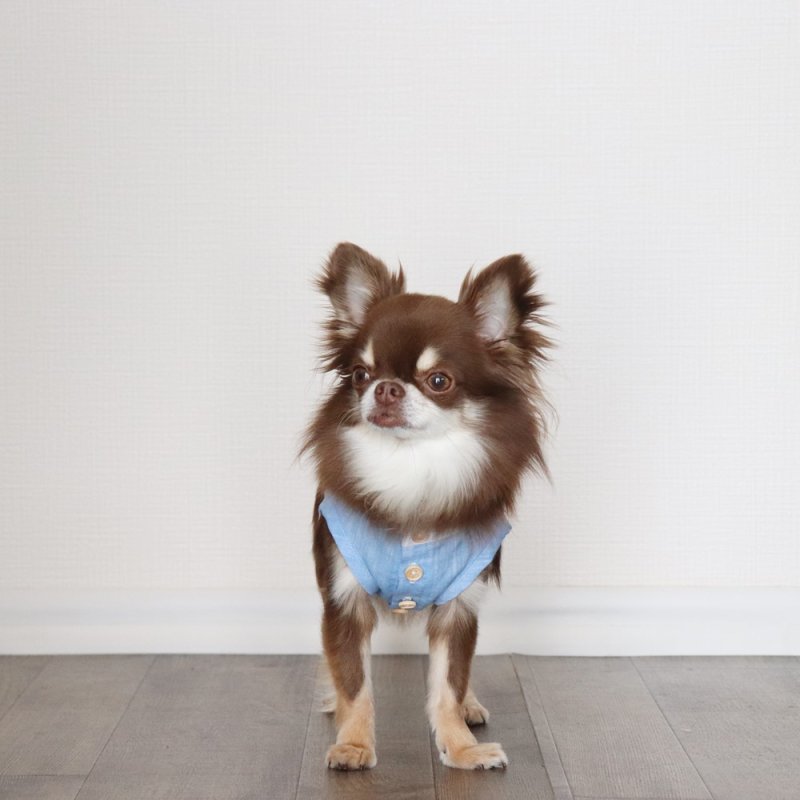 画像13: 自分好みに選べる綿麻ノースリーブシャツ（スカイブルー×ホワイト） (13)