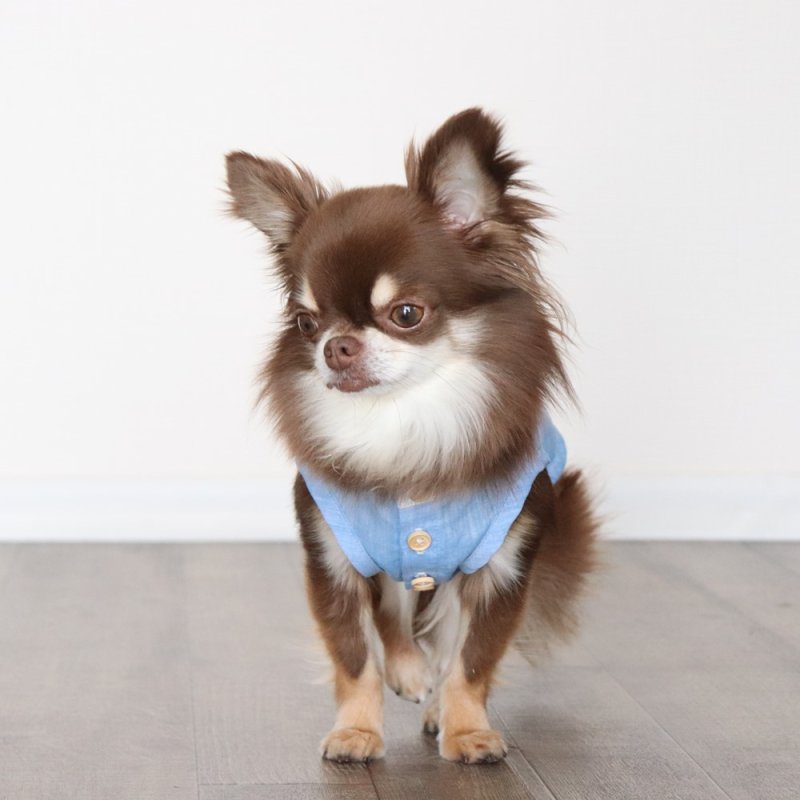 画像19: 自分好みに選べる綿麻ノースリーブシャツ（スカイブルー×ホワイト） (19)