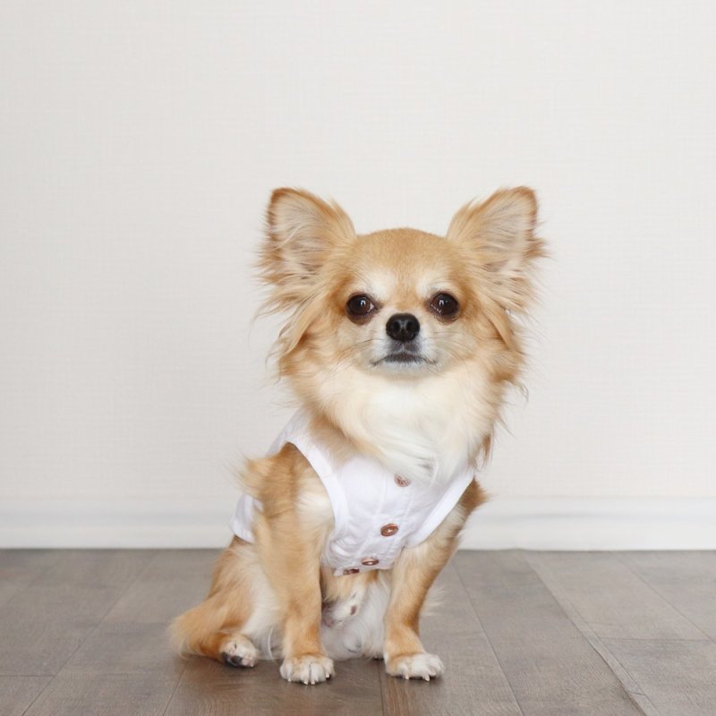 画像10: 自分好みに選べる綿麻ノースリーブシャツ(ホワイト) (10)