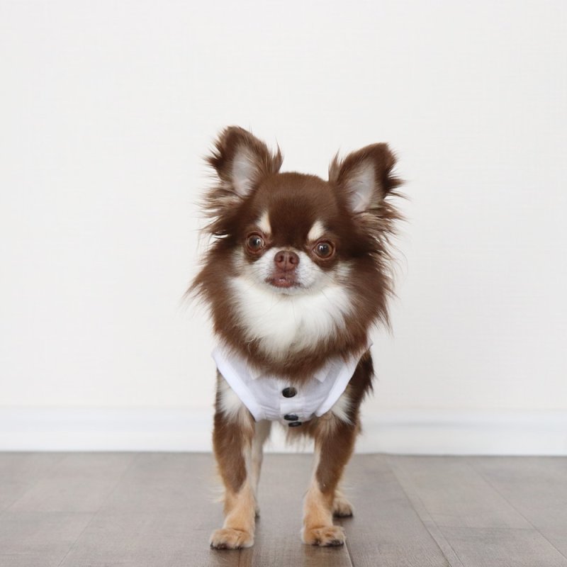 画像3: 自分好みに選べる綿麻ノースリーブシャツ(ホワイト) (3)