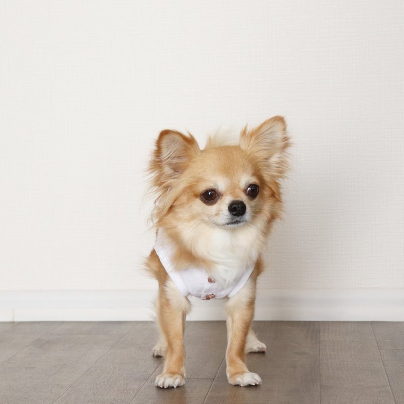 画像11: 自分好みに選べる綿麻ノースリーブシャツ(ホワイト) (11)