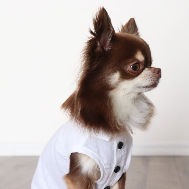 画像8: 自分好みに選べる綿麻ノースリーブシャツ(ホワイト) (8)