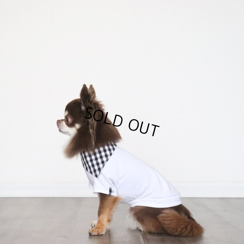 画像4: 【ちょっぴりお得なセット商品】ブラックギンガム Tシャツ&バンダナ (4)