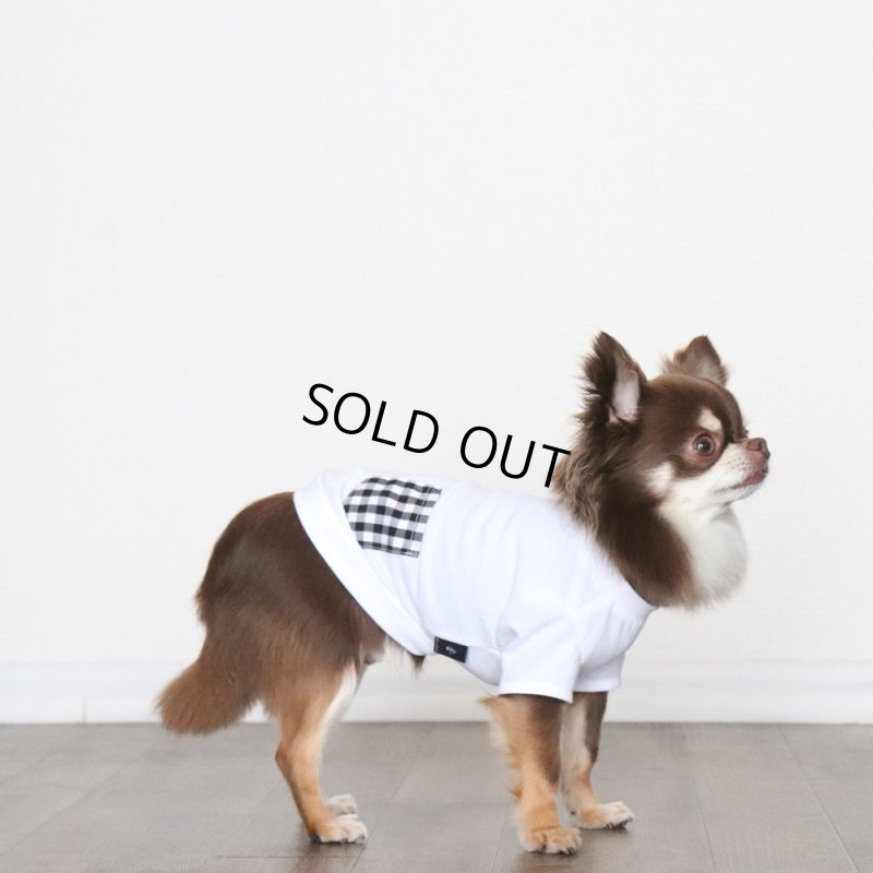 画像10: 【ちょっぴりお得なセット商品】ブラックギンガム Tシャツ&バンダナ (10)