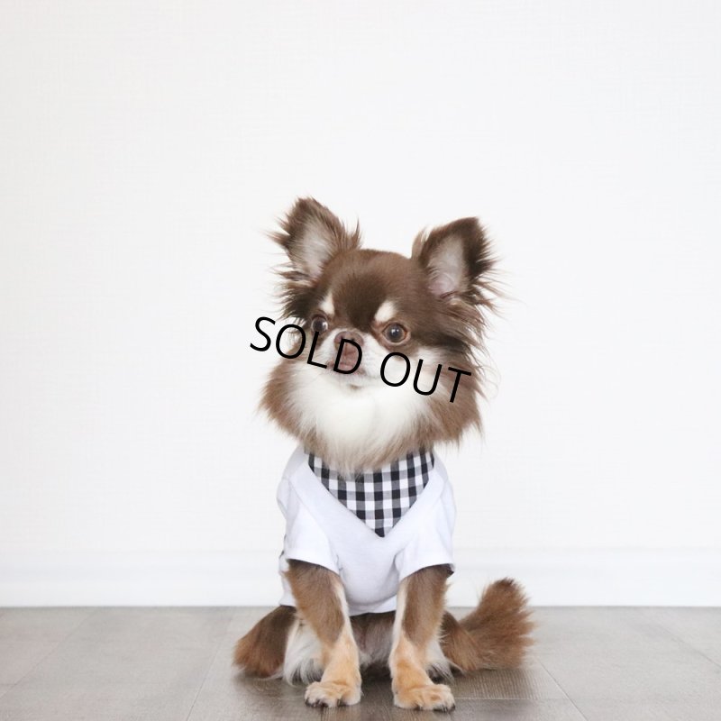 画像5: 保冷剤ポケットつきのバンダナ（ブラックギンガム） (5)