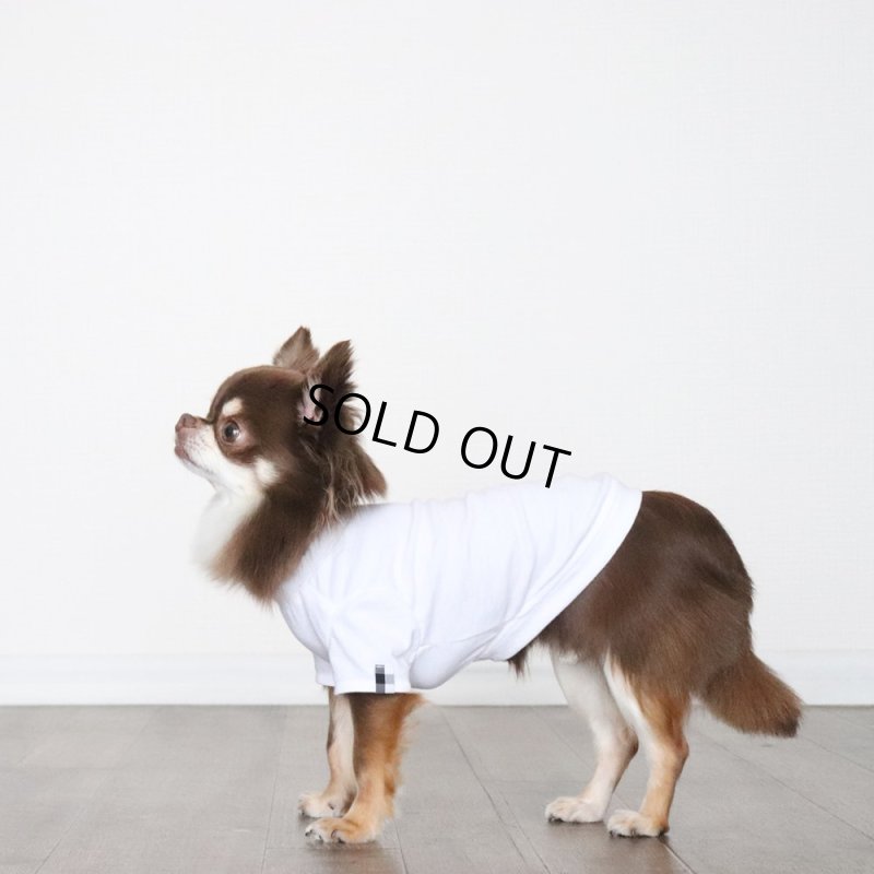 画像13: 【ちょっぴりお得なセット商品】ブラックギンガム Tシャツ&バンダナ (13)