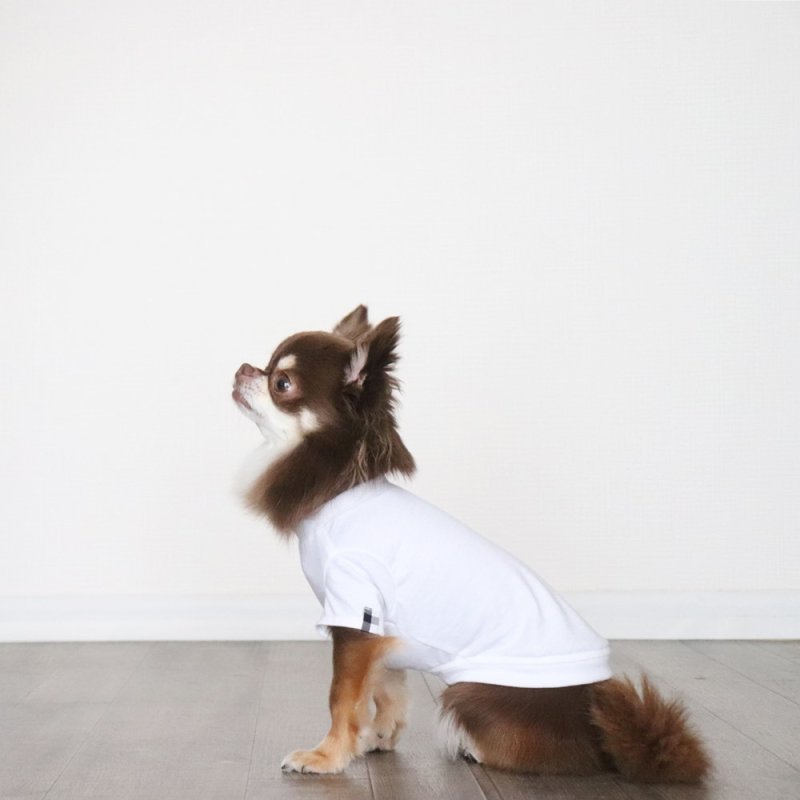 画像7: ギンガムチェックポケットつきTシャツ（ホワイト×ブラックギンガム） (7)