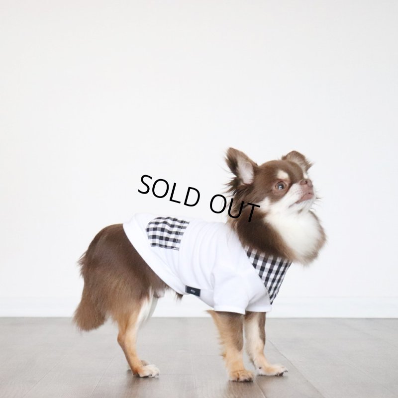 画像6: 【ちょっぴりお得なセット商品】ブラックギンガム Tシャツ&バンダナ (6)