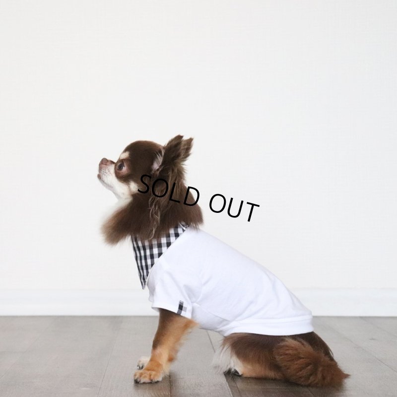 画像2: 【ちょっぴりお得なセット商品】ブラックギンガム Tシャツ&バンダナ (2)