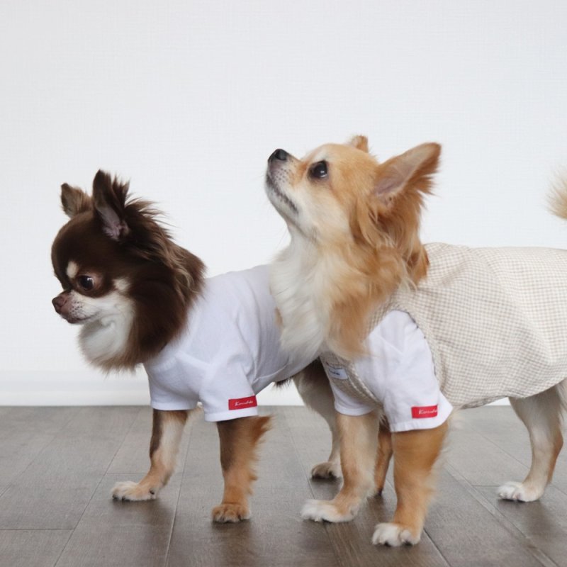 画像17: オールシーズン着られるキャミワンピース(ベージュギンガム) (17)