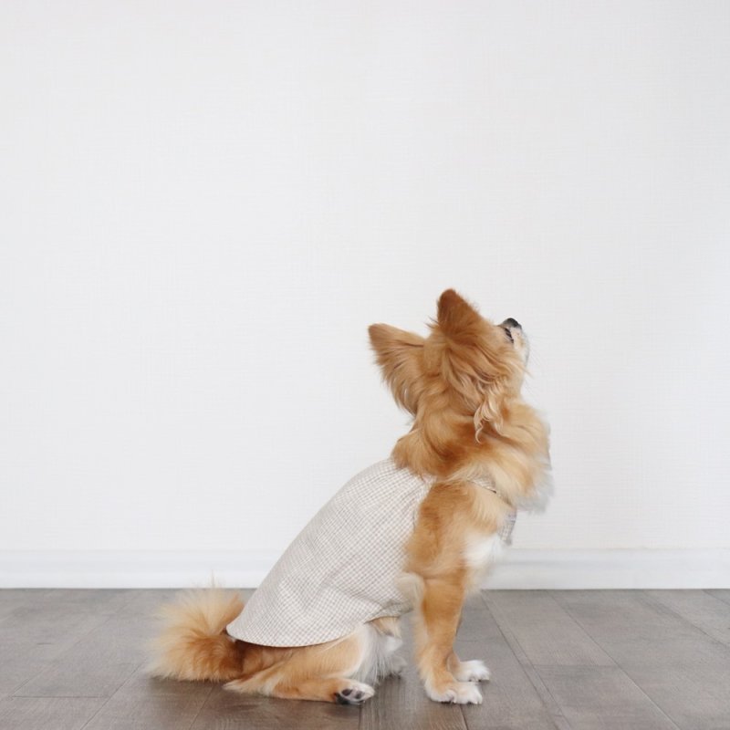 画像8: オールシーズン着られるキャミワンピース(ベージュギンガム) (8)